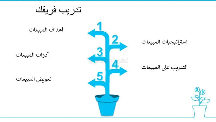 تعرف علي 6 انواع المبيعات | واستراتيجيات البيع الناجحة