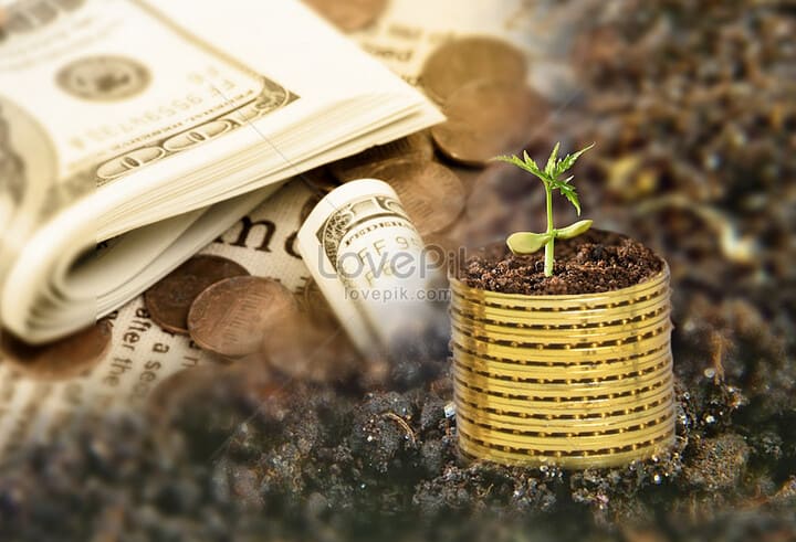 إدارة المشاريع