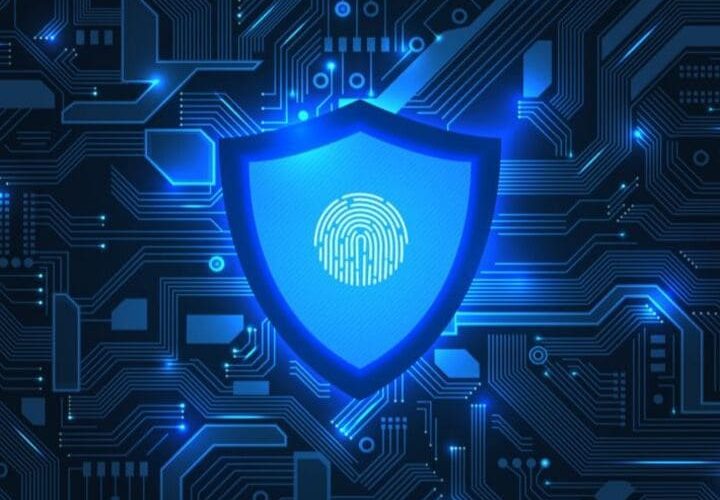 الفرق بين أمن الشبكات والأمن السيبراني